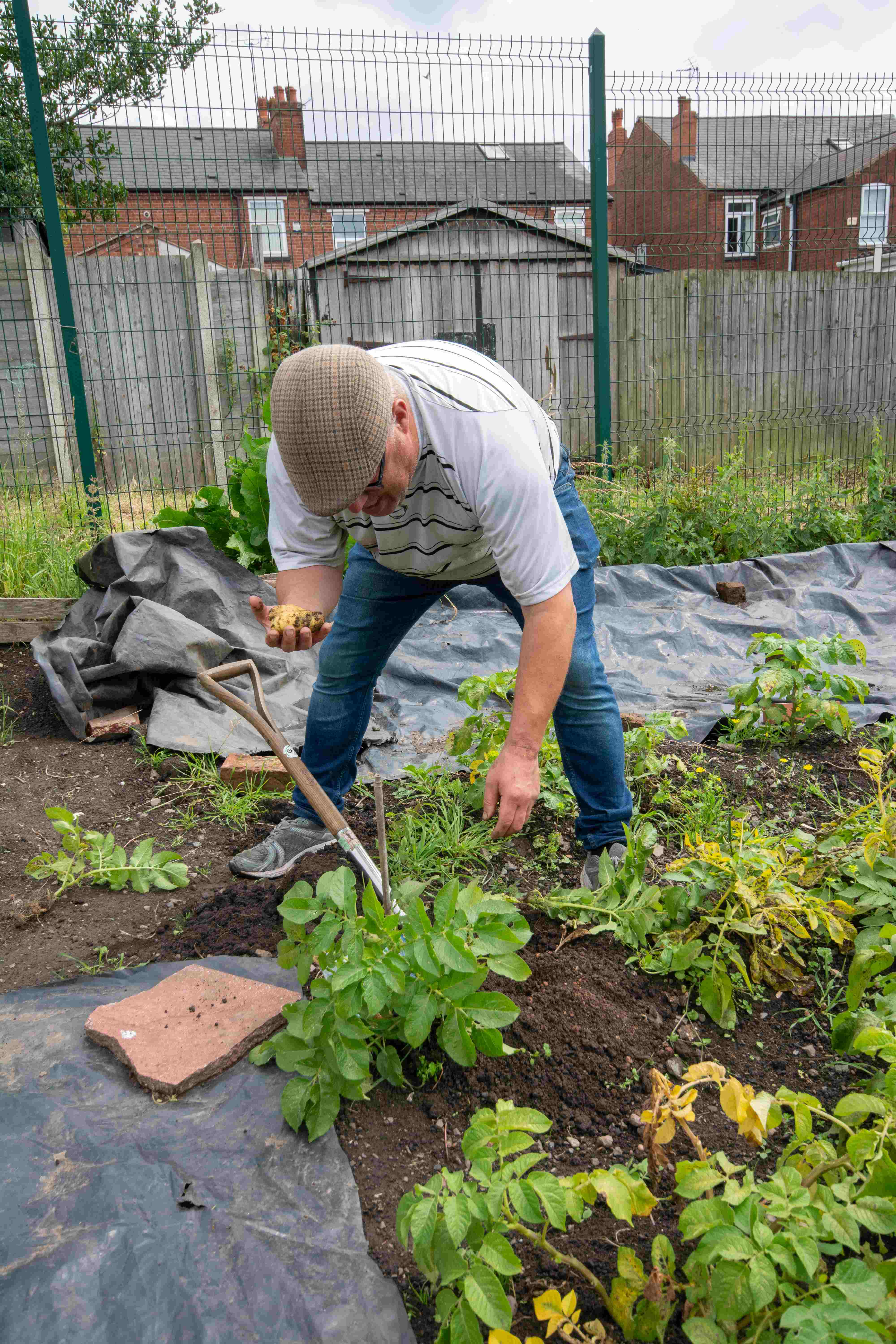 Supporting Green Fingers via Social Value